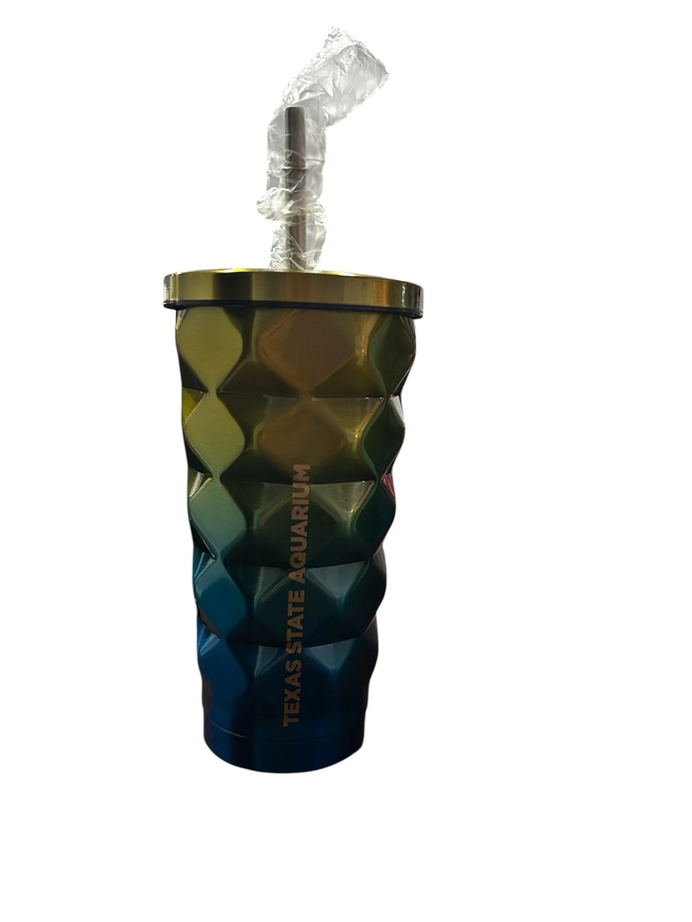 Texas State Aquarium Iridescent Geo Tumbler - Blue/Green/Gold